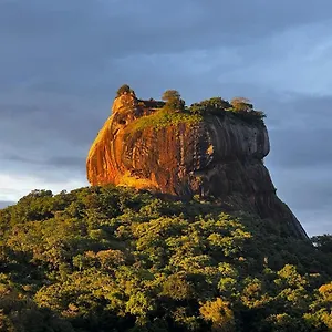 Mango Privatunterkunft Sigiriya
